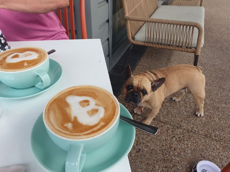 The Coffee Club Domain